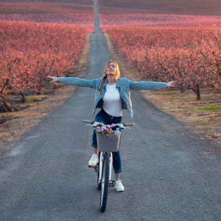 Turista en bicicleta atraviesa los campos de cerezo en flor en Lleida, Cataluña