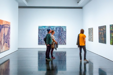 Pubblico di una mostra del MACBA a Barcellona, Catalogna