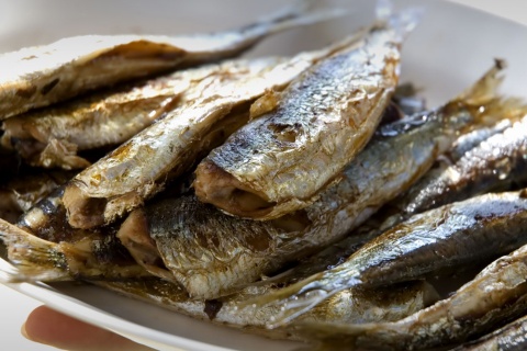 Anchois