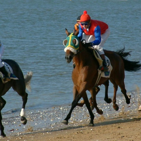 Courses de chevaux sur la plage