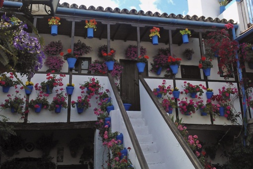 Festival des patios de Cordoue