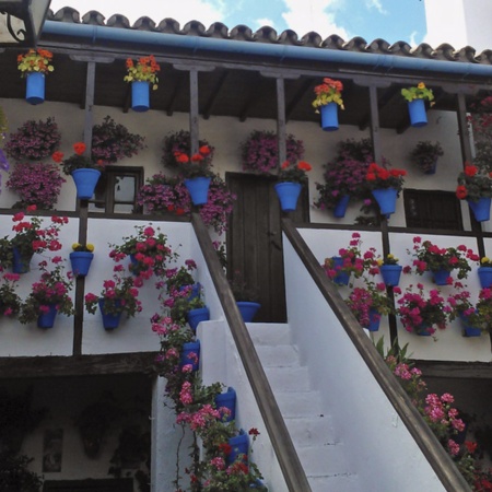 Festival of the Courtyards in Cordoba