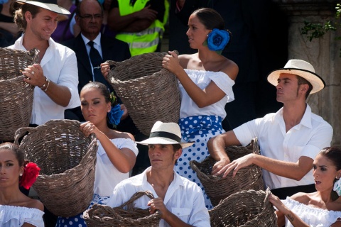 Weinlese in Jerez