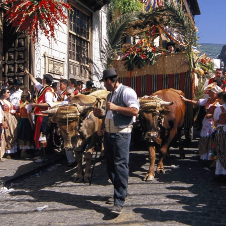 Corpus Domini e Pellegrinaggio di San Isidro, a La Orotava (Tenerife, Isole Canarie)