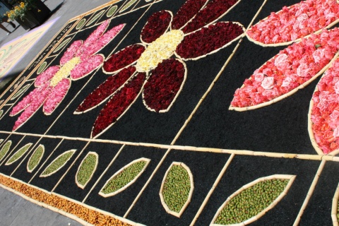 Tapis de fleurs pendant la Fête-Dieu de San Cristóbal de la Laguna, Tenerife.