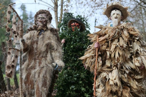 Festas de “La Vijanera” 2015