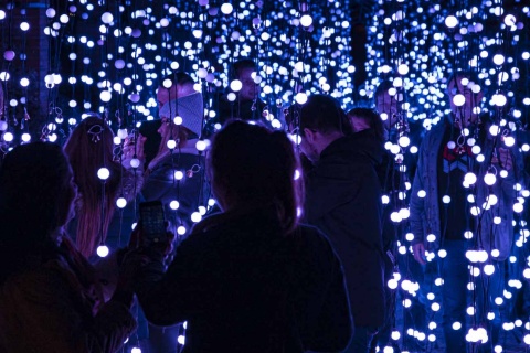 Jardín navideño lumínico en una edición anterior en Berlín