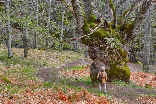 Paysage automnal de la vallée de l’Ambroz