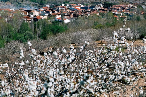 Vallée du Jerte (province de Cáceres)