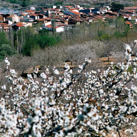 Vale do Jerte (Cáceres)