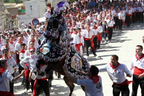 Wein-Pferde in Caravaca de la Cruz