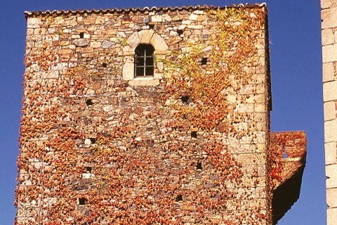 Casa del Águila, Cáceres