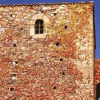 Casa del Águila, Cáceres