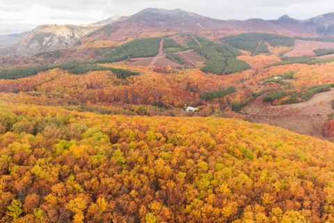 Outono no Geoparque Villuercas Ibores Jara