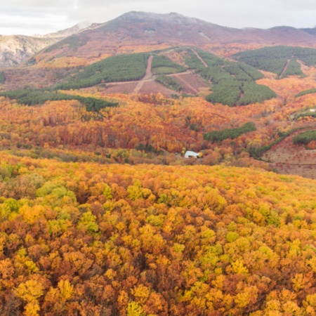 Outono no Geoparque Villuercas Ibores Jara