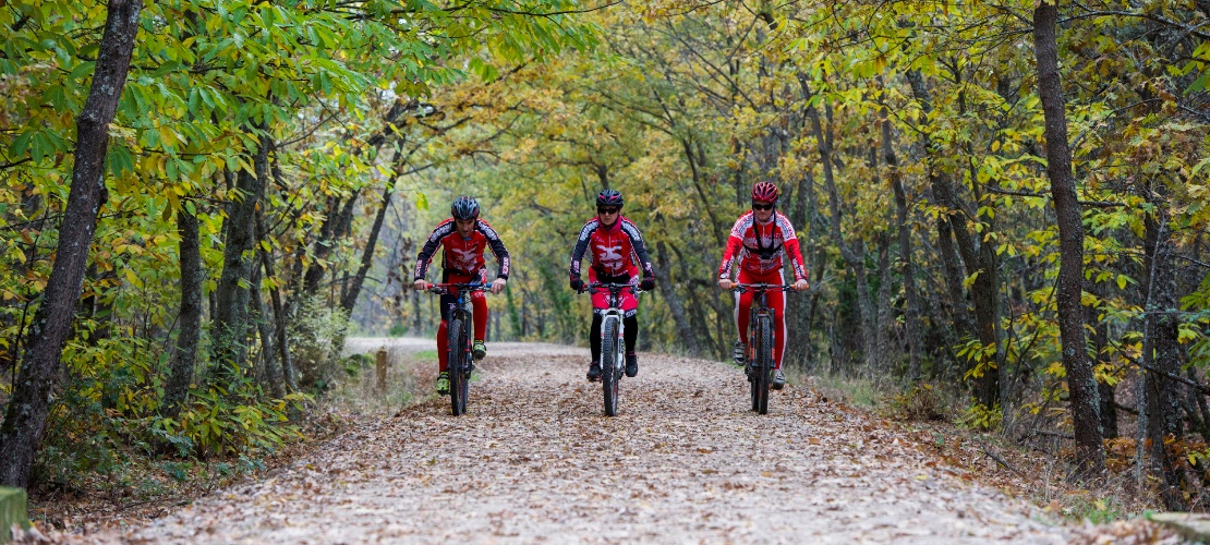 Group of cyclists on the Ruta de la Plata greenway in Cáceres