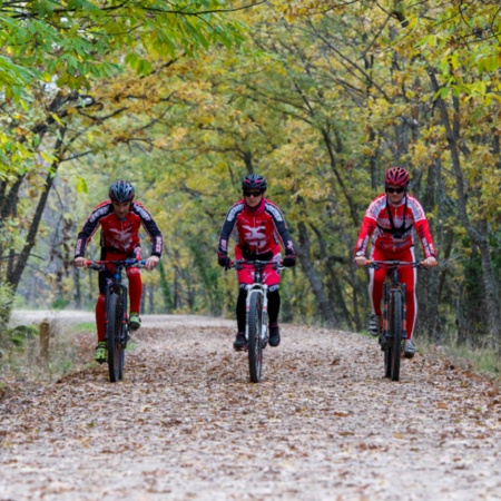 Group of cyclists on the Ruta de la Plata greenway in Cáceres