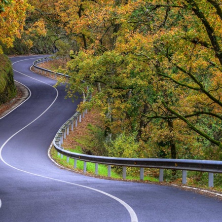 森を走る道路。サンティアゴ巡礼の道。ガリシア州