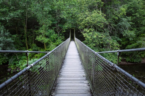  Puente colgante en el Parque Natural de Fragas do Eume en A Coruña, Galicia