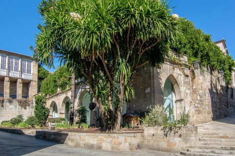 Museo Arqueológico Provincial de Ourense