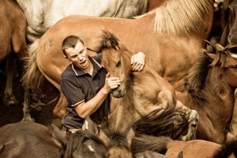 Um "aloitador" segura um cavalo selvagem na tradicional festa "Rapa das Bestas" de Sabucedo