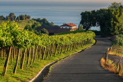 Txakoli Route, Getaria