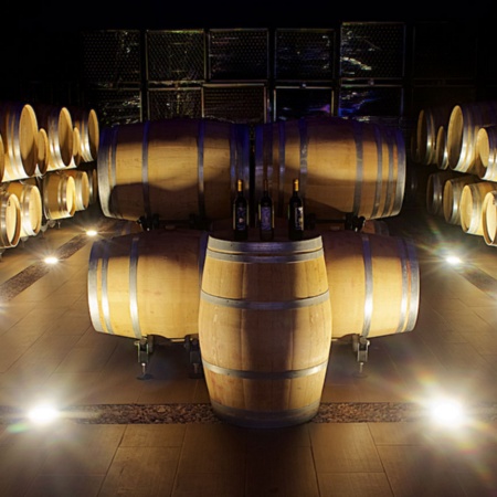 Tonneaux dans une cave de la Route du vin de Madrid