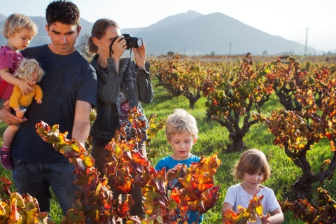 Visita familiar a una bodega de la Ruta del Vino de Alicante