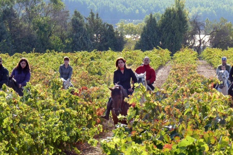 Route du vin de Cigales