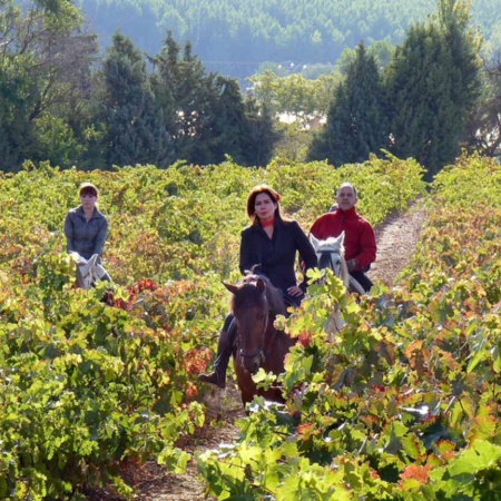 Ruta del Vino Cigales