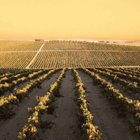 Paisaje de la Ruta del Vino y el Brandy del Marco de Jerez