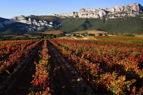 Krajobraz na Szlaku Wina Rioja Alavesa