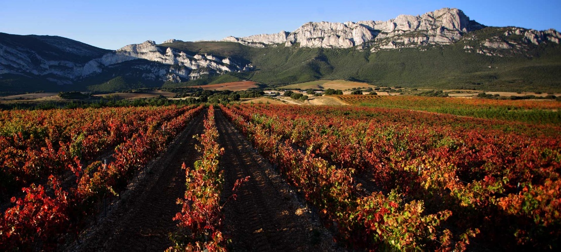 Paysage de la Route du vin de la Rioja Alavesa