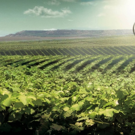 Paisaje de la Ruta del Vino de Lleida - Costa del Segre