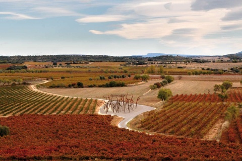 Landschaft der Weinstraße von Somontano