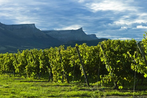 Paisagem do Roteiro do Vinho Txacoli