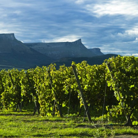 Landschaft an der Weinstraße des Txakoli