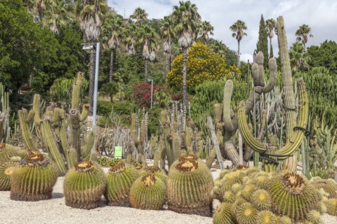 Jardines Costa i Llobera en Barcelona, Cataluña