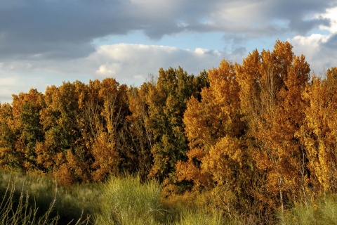 Surroundings of Batres in the Madrid Region