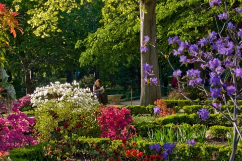 Jardin botanique royal de Madrid