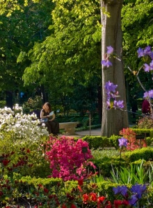 Real Jardín Botánico de Madrid