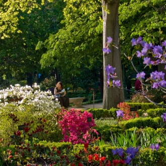 Królewski Ogród Botaniczny w Madrycie