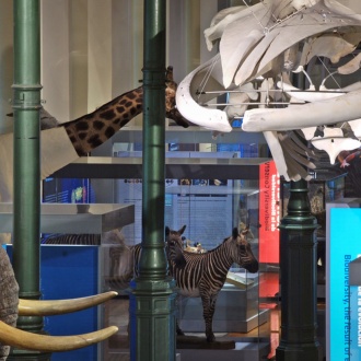 Nationales Museum der Naturwissenschaften