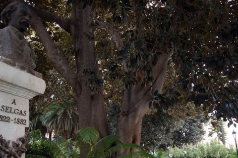 Jardín de Floridablanca. Murcia