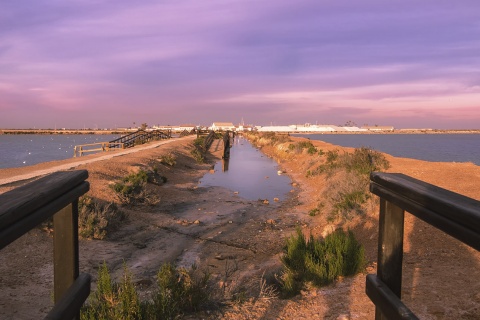 Salinas de San Pedro del Pinatar, em Múrcia