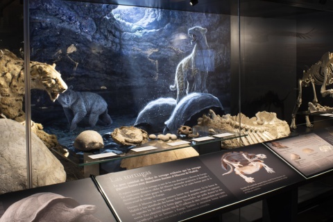 Esposizione del Museo Archeologico Regionale di Alcalá de Henares