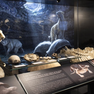 Exposição do Museu Arqueológico Regional de Alcalá de Henares