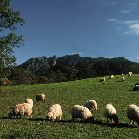 Naturpark Aiako Harria