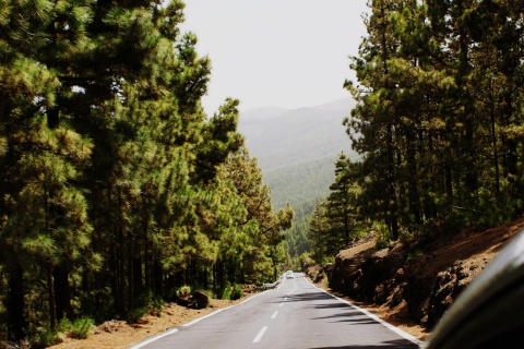 Canarias, parque Natural Tigaiga