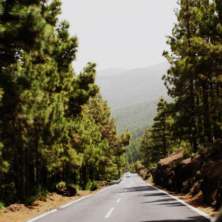 Canarias, parque Natural Tigaiga